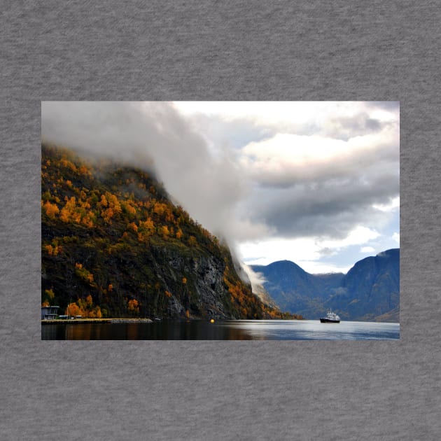 Aurlandsfjord Flam Norwegian Fjord Norway by Andy Evans Photos